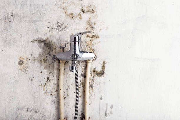 Best Mold Testing  in Gloucester, MA