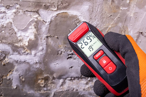 Best Mold Removal Process  in Gloucester, MA