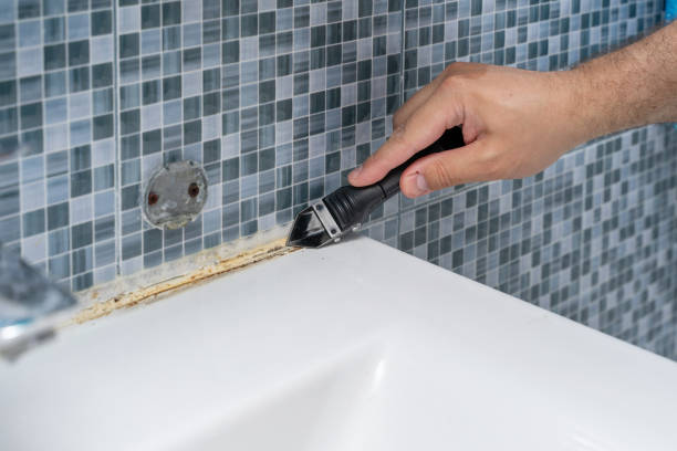 Professional Mold Removal in Gloucester, MA
