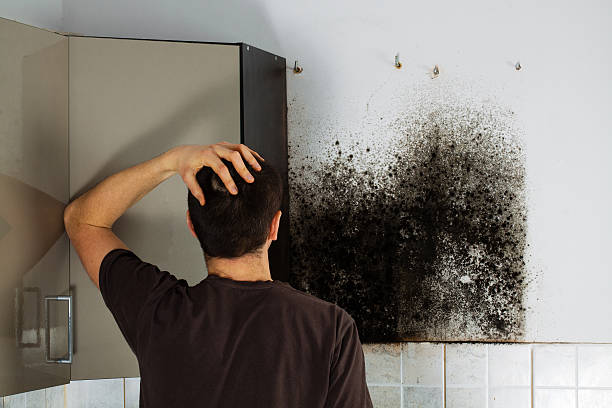 Mold Testing and Removal in Gloucester, MA